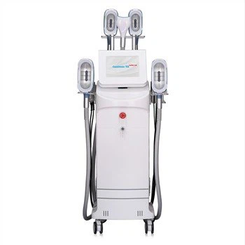 Máy điêu khắc mát đông lạnh chất béo